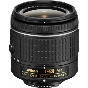 Nikon AF-P DX Nikkor 18-55mm f/3.5-5.6G VR BULK